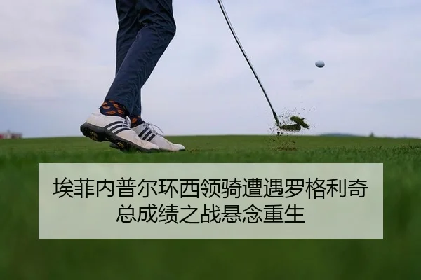 ai-fei-nei-pu-er-huan-xi-ling-qi-zao-yu-luo-ge-li-qi-zong-cheng-ji-zhi-zhan-xuan-nian-chong-sheng-2-246.jpg